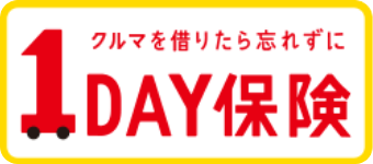 1DAy保険